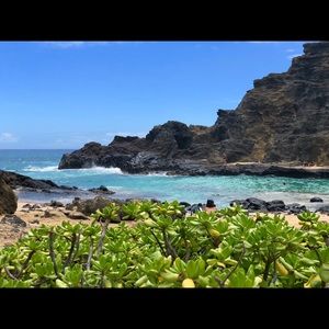 Meet your Posher, Paf